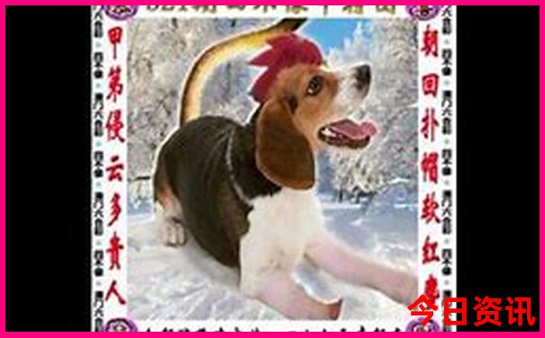 川西十大必去景点推荐